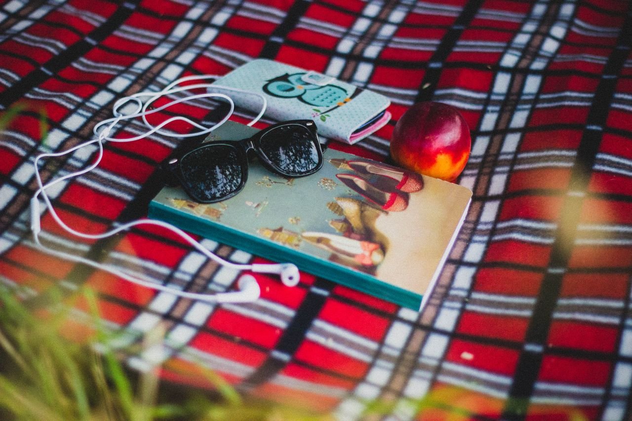 A serene picnic setup with a book, sunglasses, and an apple on a plaid blanket.